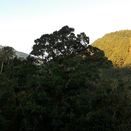 Sugi Gede Homestay Singaraja Dış mekan fotoğraf