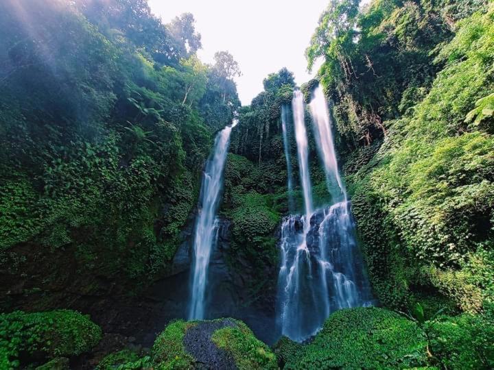 Sugi Gede Homestay Singaraja Dış mekan fotoğraf