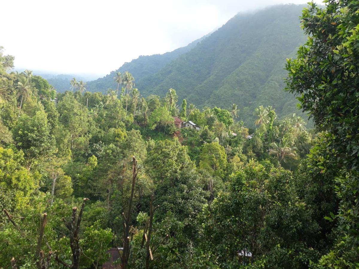 Sugi Gede Homestay Singaraja Dış mekan fotoğraf