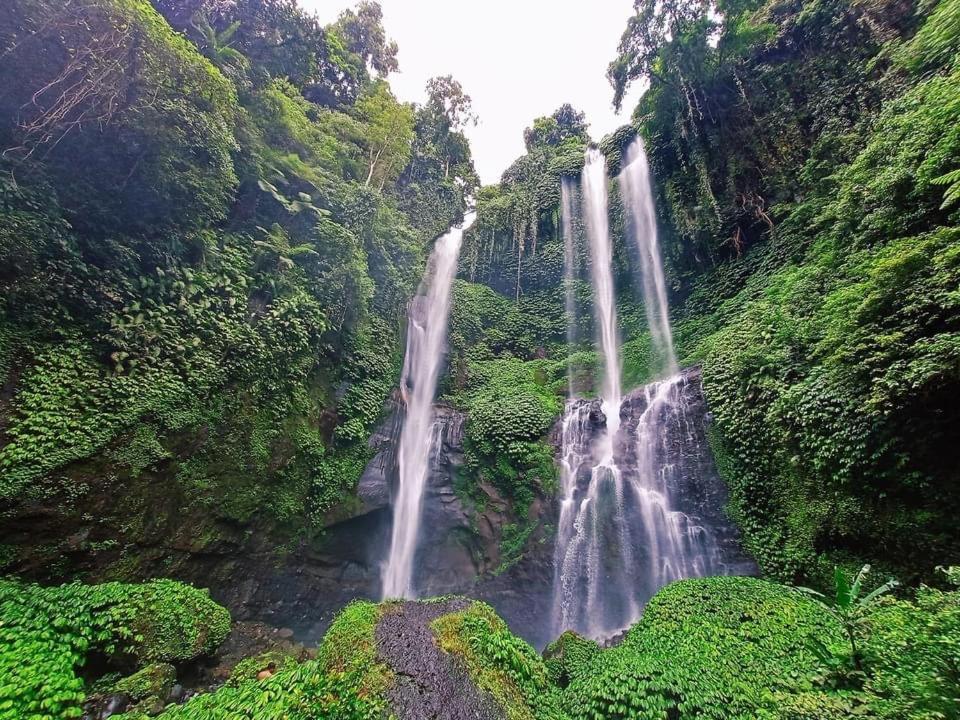 Sugi Gede Homestay Singaraja Dış mekan fotoğraf