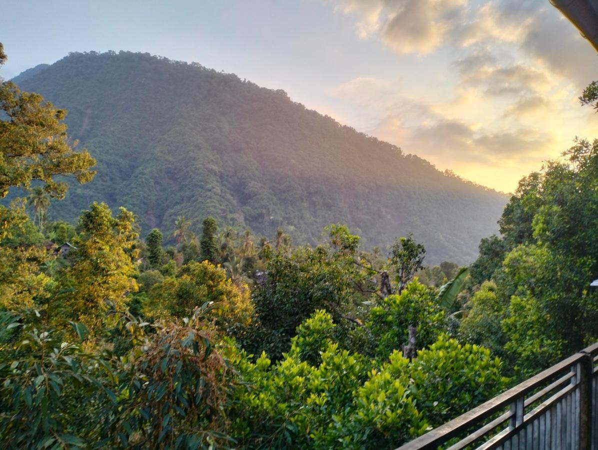 Sugi Gede Homestay Singaraja Dış mekan fotoğraf