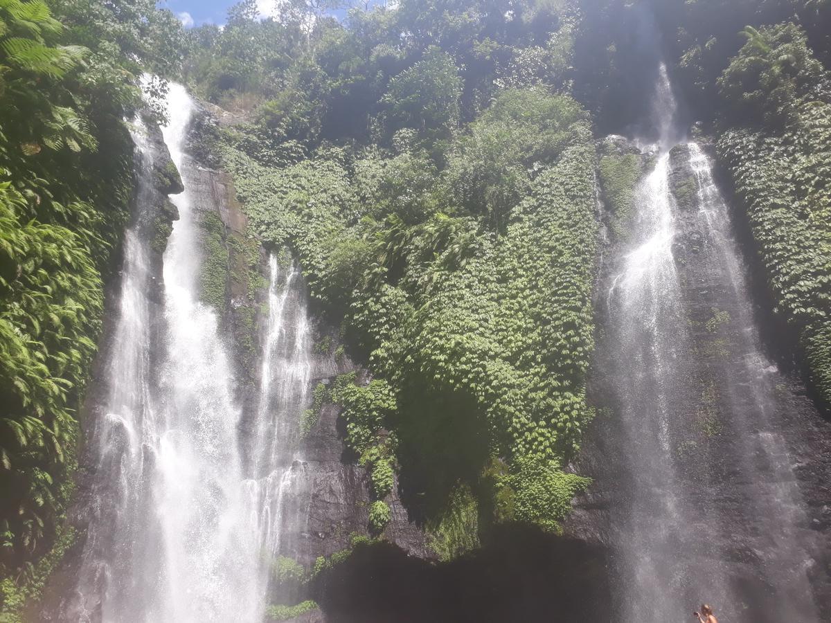 Sugi Gede Homestay Singaraja Dış mekan fotoğraf