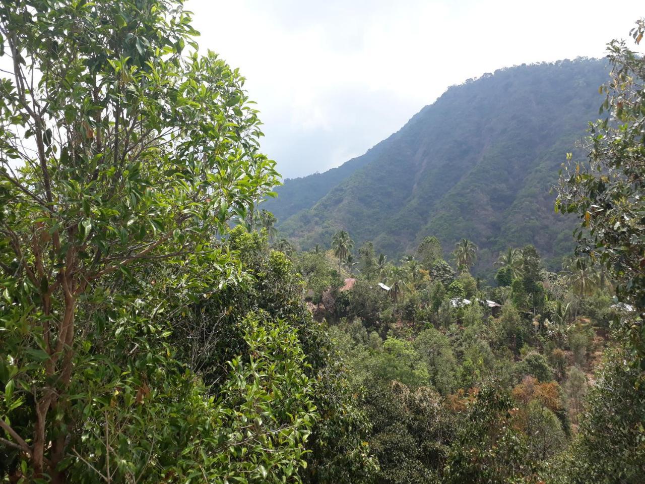 Sugi Gede Homestay Singaraja Dış mekan fotoğraf