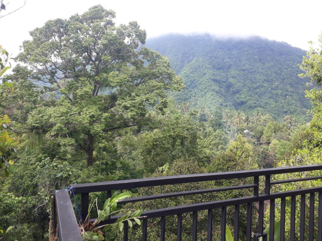 Sugi Gede Homestay Singaraja Dış mekan fotoğraf