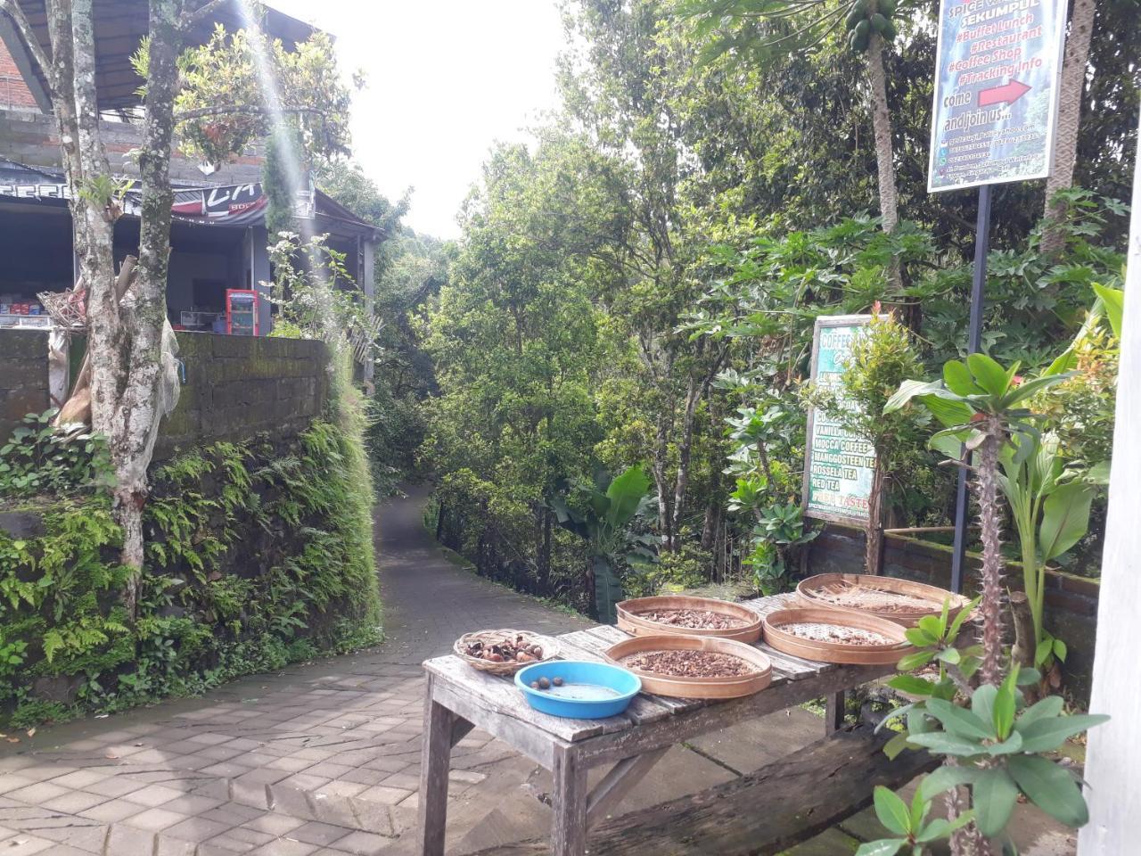 Sugi Gede Homestay Singaraja Dış mekan fotoğraf