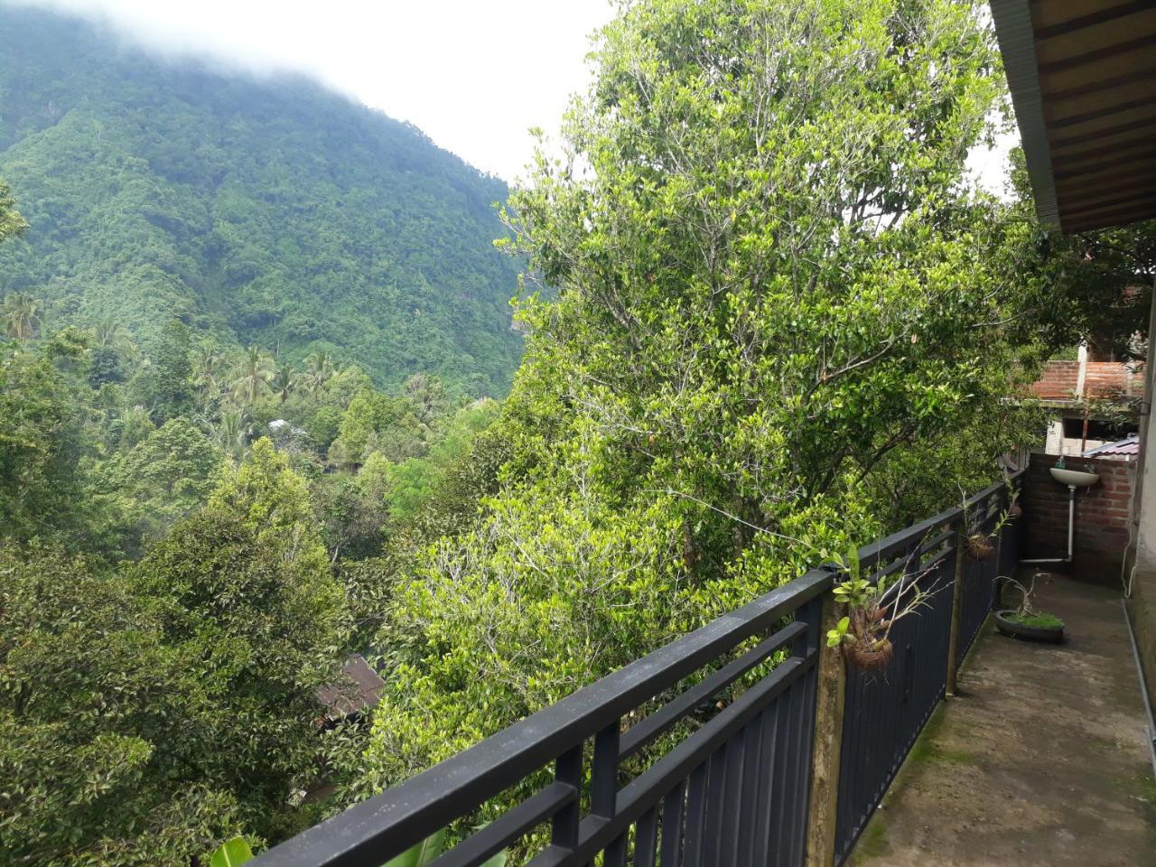 Sugi Gede Homestay Singaraja Dış mekan fotoğraf