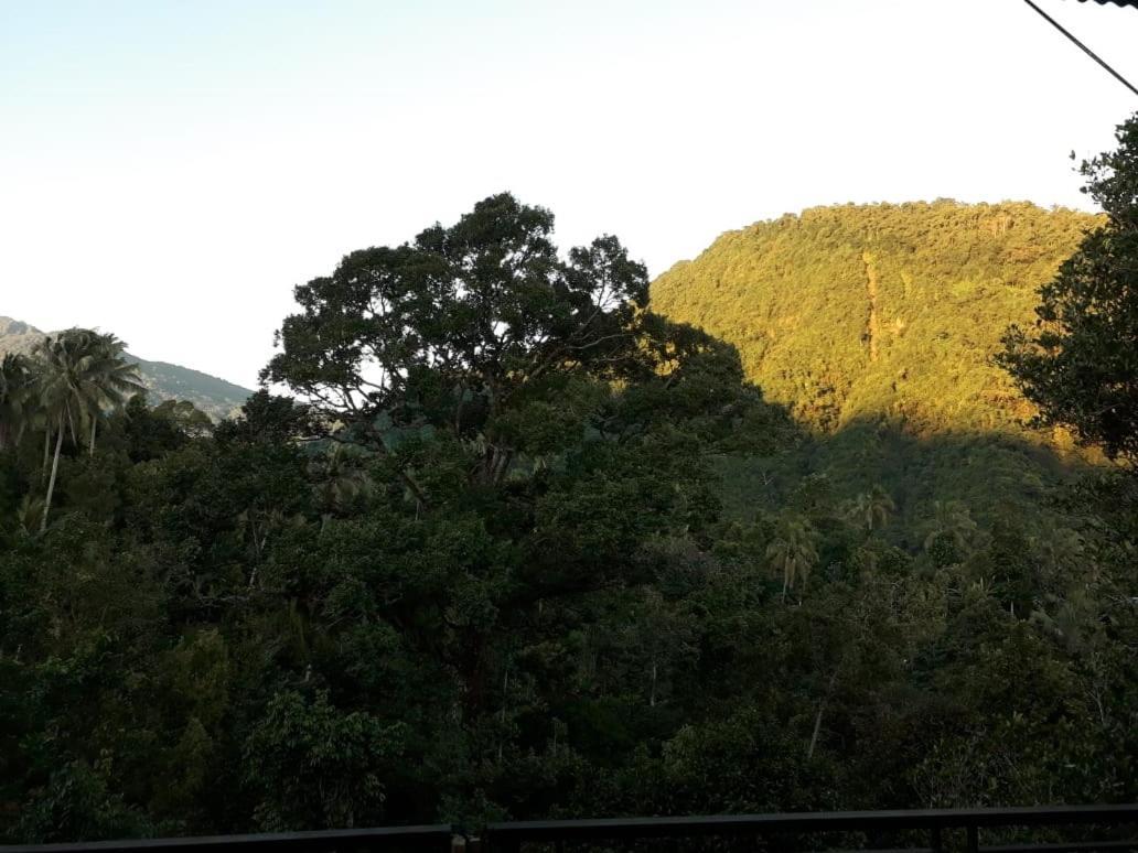 Sugi Gede Homestay Singaraja Dış mekan fotoğraf