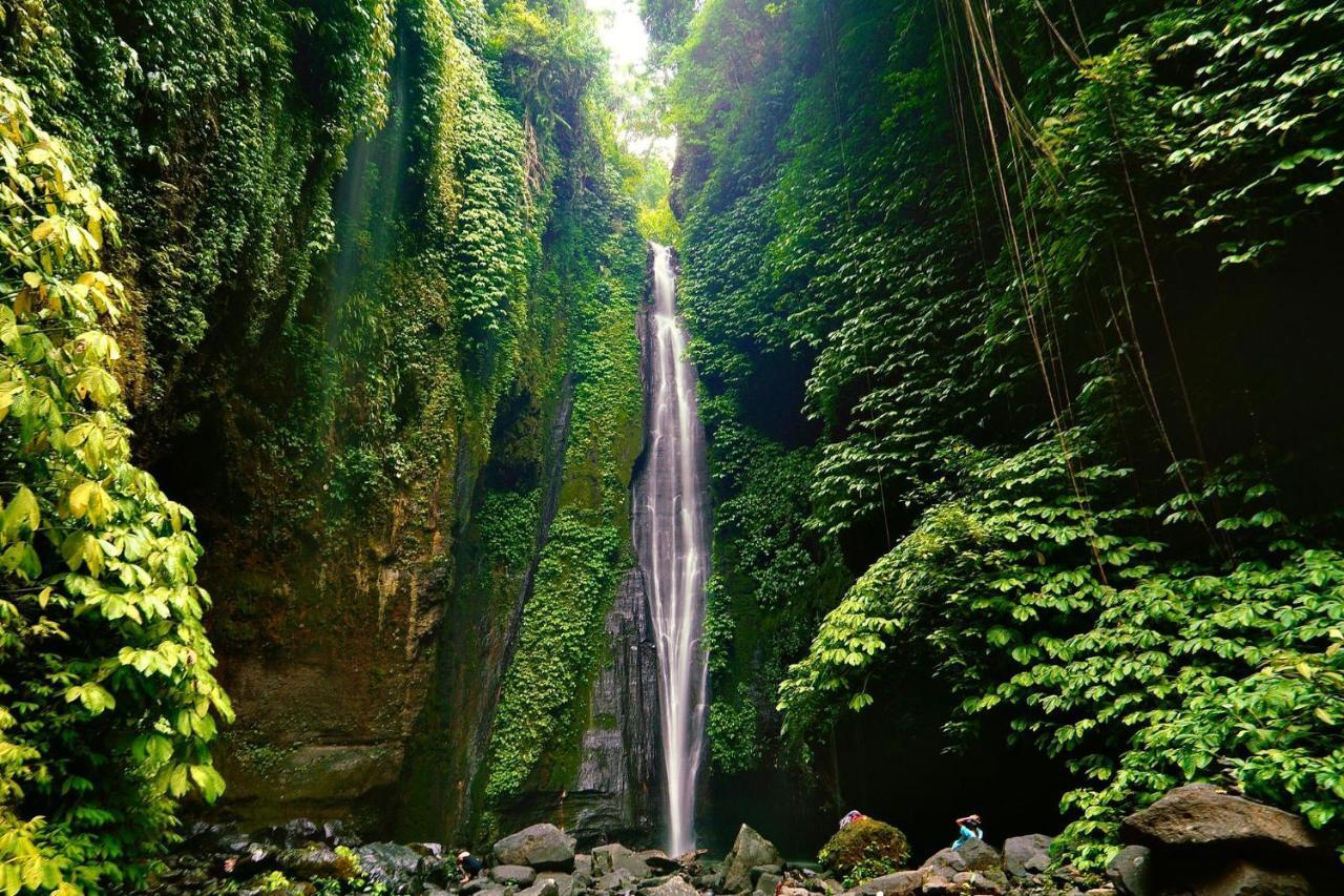 Sugi Gede Homestay Singaraja Dış mekan fotoğraf