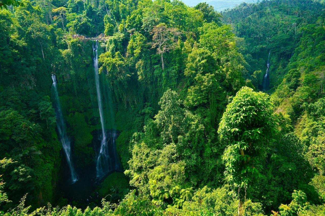 Sugi Gede Homestay Singaraja Dış mekan fotoğraf